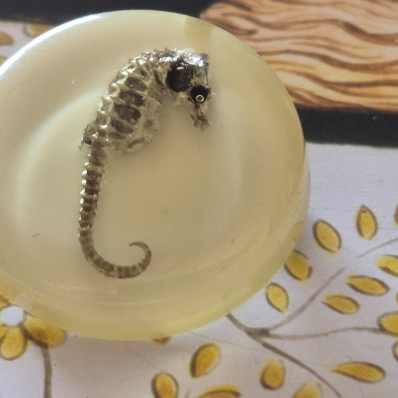 Seahorse Resin Paperweight - Cream - Picture 3 of 7